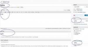 Direct Tamil Typing in Post - நேரடி தமிழ் தட்டச்சு இடுகையில்